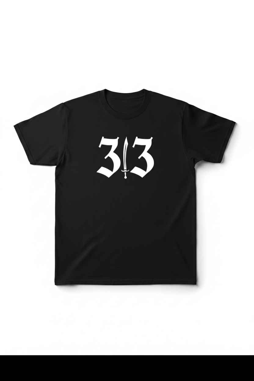 313 Story White Background v2