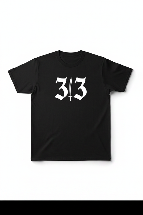 313 Story White Background v2