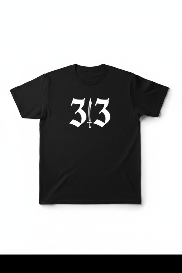 313 Story White Background v2