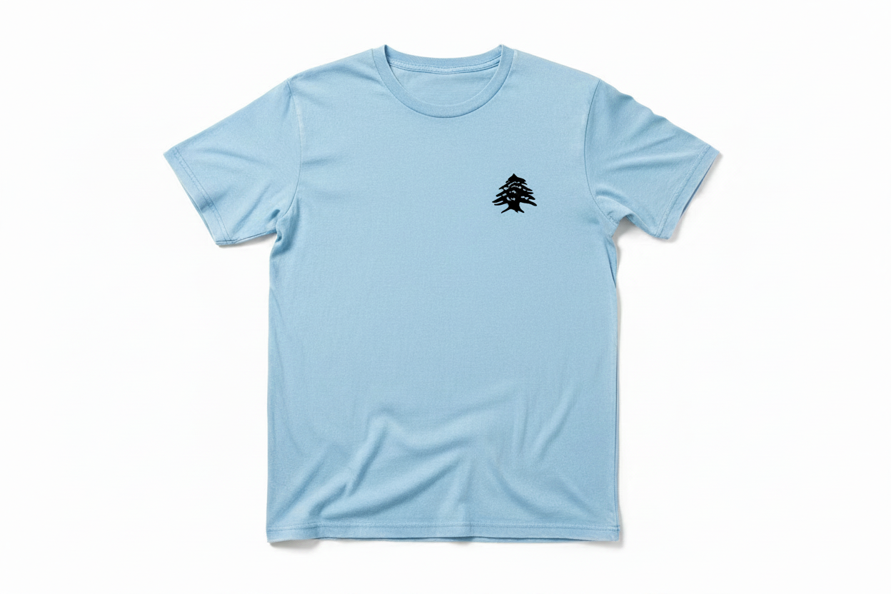 Vintage baby blue Cedar of Lebanon tee flat lay